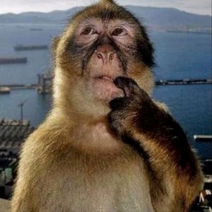 Meet your Posher, Athan